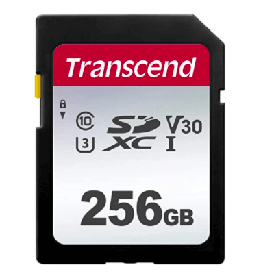 300S 256GB SD CARD