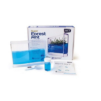 ANT FOREST SUP KIT
