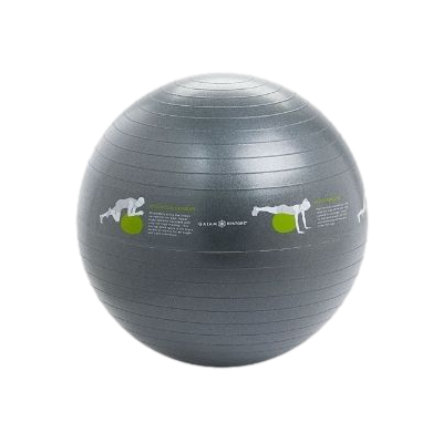 SELF-GUIDED STABILITY BALL GRAY