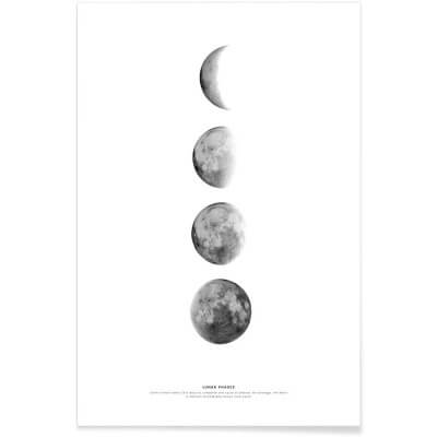 PHASES OF THE MOON POSTER 60x90