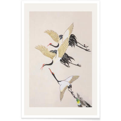 SWOOPPING CRANES POSTER 60x90