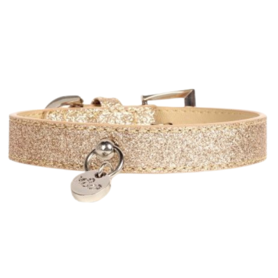 COLLAR FOR DOG STARDUST T25 25 X1 .5 CM GOLD