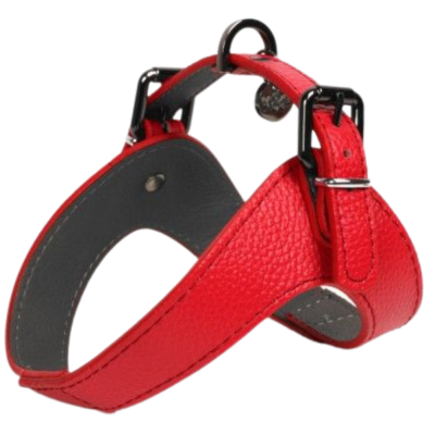 50 CM RED LEATHER DANDY HARNESS