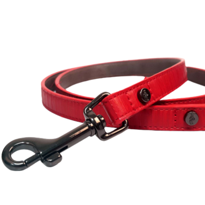 SAFIRA LEAD FOR DOGS 100X2 CM RED