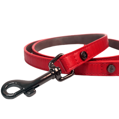 SAFIRA LEAD FOR DOGS 120 X1 .5 CM RED LEATHER
