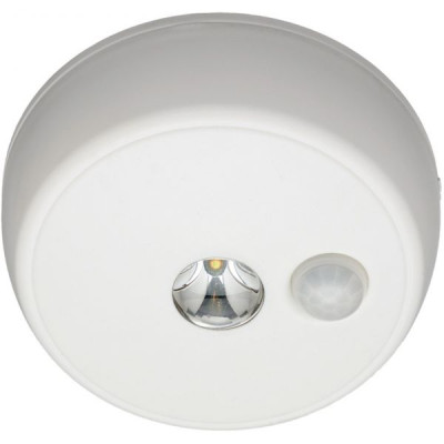 LED CEILING LIGHT WITH WHITE MOTION DETECTOR
