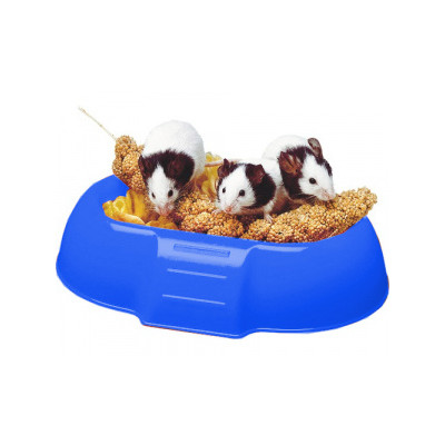 DADA BOWL FOR RODENTS